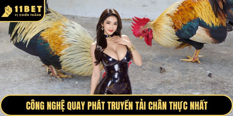 Đá Gà Cựa Dao Và Sức Hút Tại Hệ Thống 11BET Hiện Nay 2026 4 Công nghệ quay phát truyền tải chân thực nhất