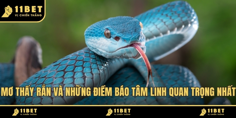 Mơ Thấy Rắn Và Những Điềm Báo Tâm Linh Quan Trọng Nhất 2026 10 Mơ Thấy Rắn ảnh đại diện