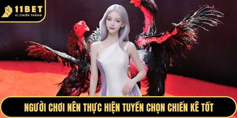 Đá Gà Cựa Dao Và Sức Hút Tại Hệ Thống 11BET Hiện Nay 2026 5 Người chơi nên thực hiện tuyển chọn chiến kê tốt