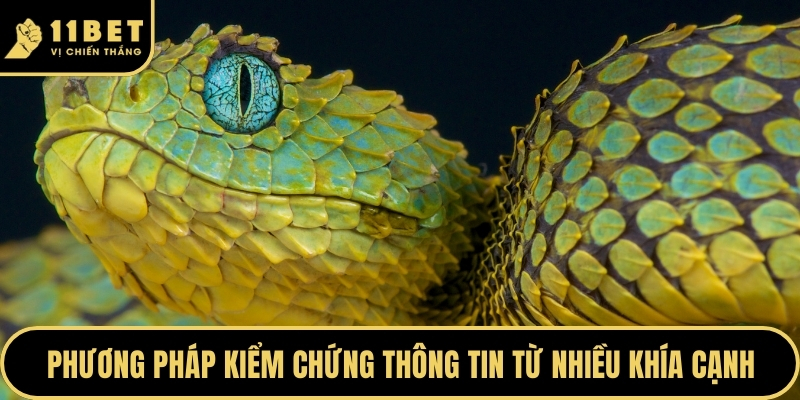 Phương pháp kiểm chứng thông tin từ nhiều khía cạnh