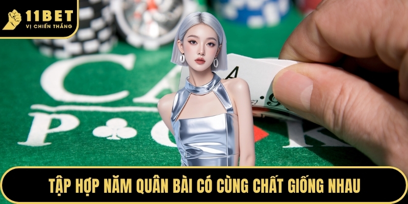 Thuật Ngữ Poker - Chìa Khóa Làm Chủ Bàn Chơi Tại 11BET 2026 3 Tập hợp năm quân bài có cùng chất giống nhau