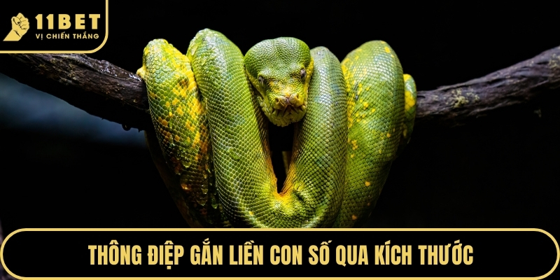 Thông điệp gắn liền con số qua kích thước