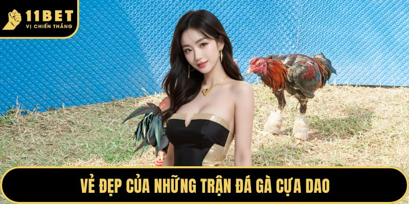 Đá Gà Cựa Dao Và Sức Hút Tại Hệ Thống 11BET Hiện Nay 2026 2 Vẻ đẹp của những trận đá gà cựa dao