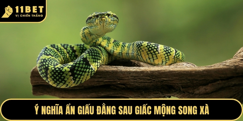 Ý nghĩa ẩn giấu đằng sau giấc mộng song xà